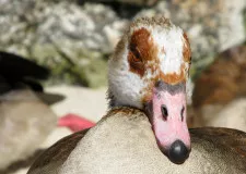 Iglesia de Nuestra Señora de Fátima 